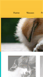 Mobile Screenshot of dierenkliniekommen.nl